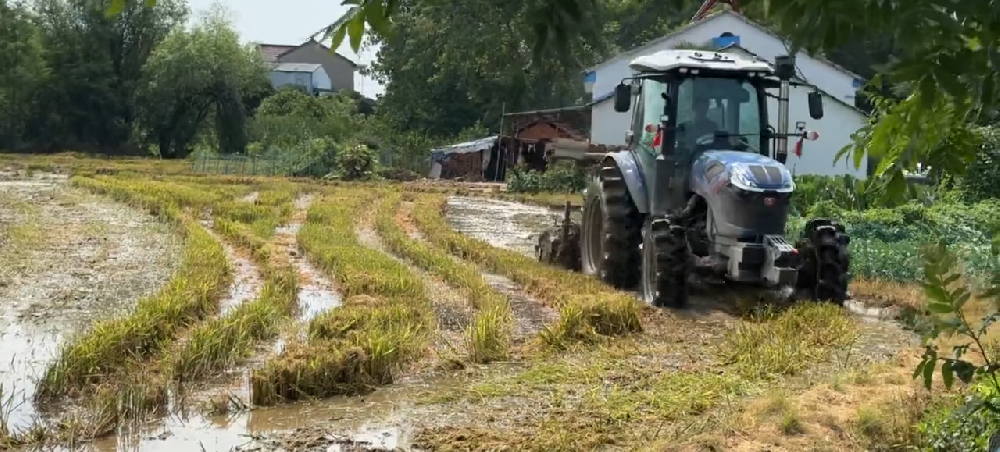 以澎湃動(dòng)力為生產(chǎn)深度賦能，東風(fēng)井關(guān)EN1204拖拉機(jī)作業(yè)視頻